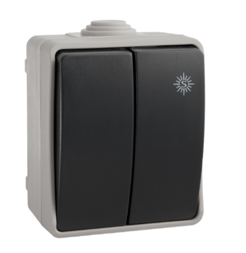 ESTANCO DOBLE CONMUTADOR 10A 250V SOLERA