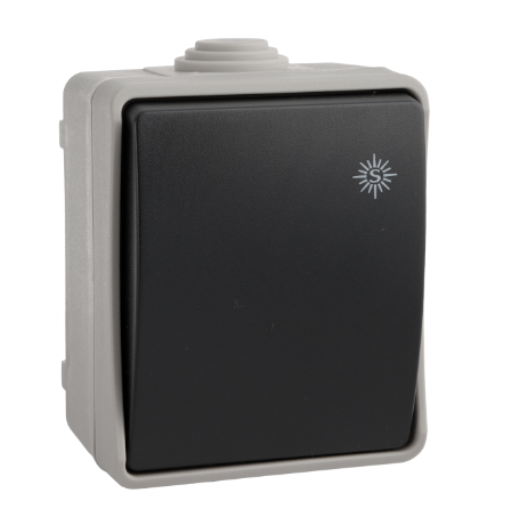 ESTANCO PULSADOR 10A 250V SOLERA