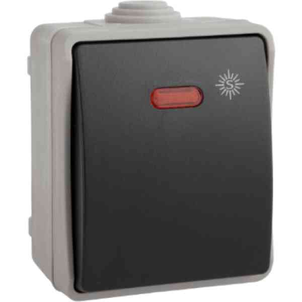ESTANCO PULSADOR LUMINOSO 10A 250V SOLERA