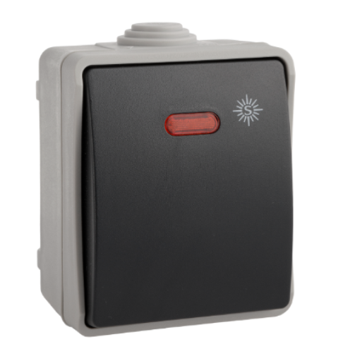 ESTANCO PULSADOR LUMINOSO 10A 250V SOLERA